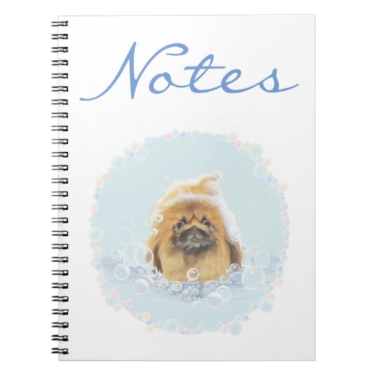 Schaumbad Notitieboek (Voorkant)