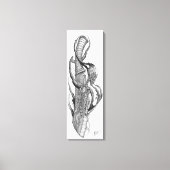 schedel 3 canvas afdruk (Voorkant)