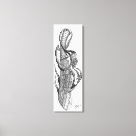 schedel 3 canvas afdruk