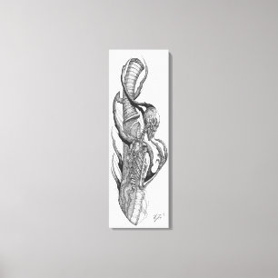schedel 3 canvas afdruk