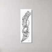 schedel 4 canvas afdruk (Voorkant)