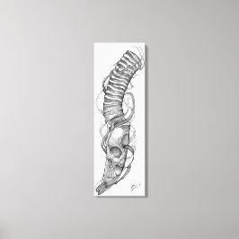 schedel 4 canvas afdruk