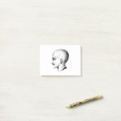  schedel Anatomie Grafiek Post Post-it® Notes (Op bureau)