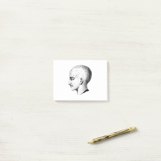 schedel Anatomie Grafiek Post Post-it® Notes (Op bureau)