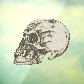 Schedel & Botten Halloween Raamsticker (Vel 3)