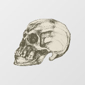 Schedel & Botten Halloween Raamsticker (Vel)