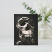 schedel briefkaart (Staand voorkant)