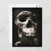 schedel briefkaart (Voorkant / Achterkant)