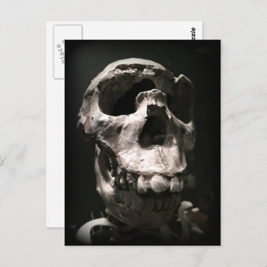 schedel briefkaart (Voorkant / Achterkant)