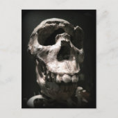 schedel briefkaart (Voorkant)