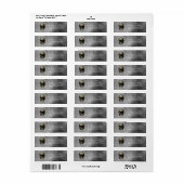 Schedel & een stapel botten Halloween Gotisch Fees Etiket (Full Sheet)