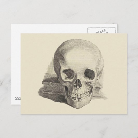 schedel en boek briefkaart (Voorkant / Achterkant)