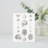 schedel en Botten Anatomie Briefkaart (Staand voorkant)