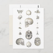  schedel en Botten Anatomie Briefkaart (Voorkant / Achterkant)