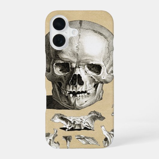 Schedel en Botten Anatomie iPhone 16 Hoesje (Achterkant)