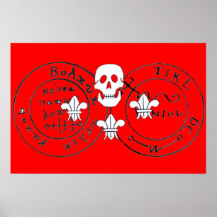 SCHEDEL EN FLEUR DE LIS / PIRATEN SCHATKAARTEN, POSTER