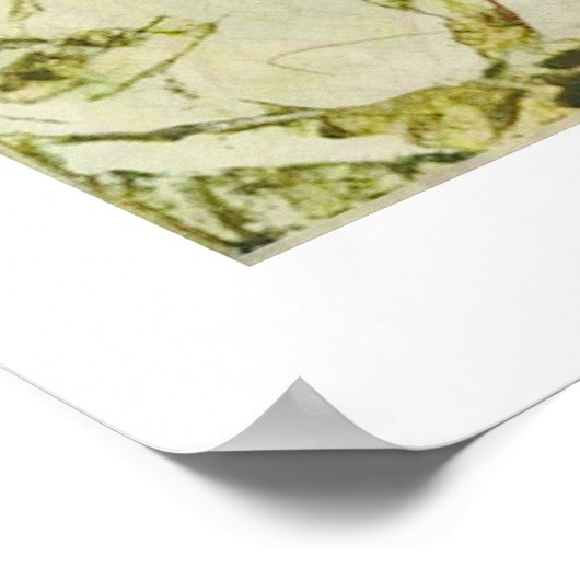 Schedel en Rozenstruik Vintage Poster (Hoek)