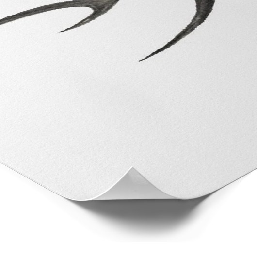 schedel en slang poster (Hoek)