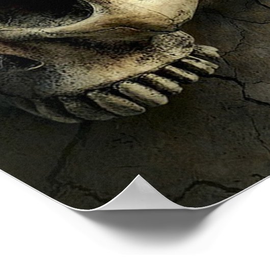 schedel en vlinder poster (Hoek)