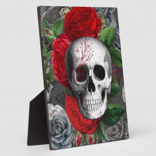 Schedel Fotoplaat (Zijkant)