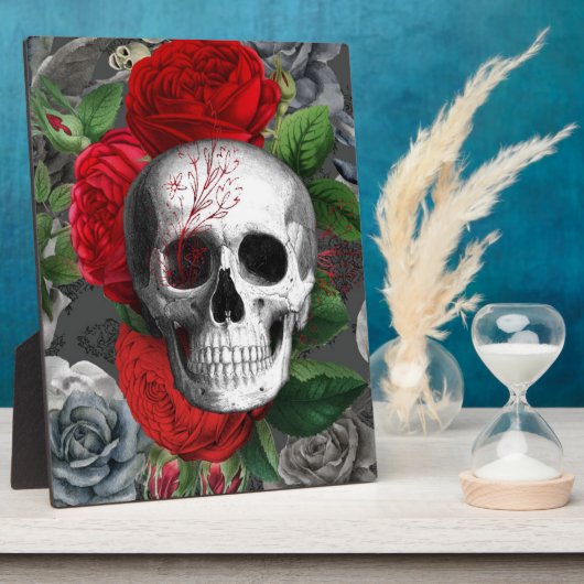 Schedel Fotoplaat (Zijkant)