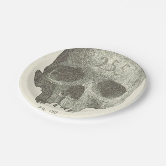  schedel Halloween Appetizer, dessert Bord (Gekanteld)