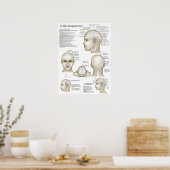 Schedel Hoofd Acupunctuurpunten Poster (Keuken)