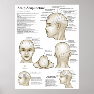 Schedel Hoofd Acupunctuurpunten Poster