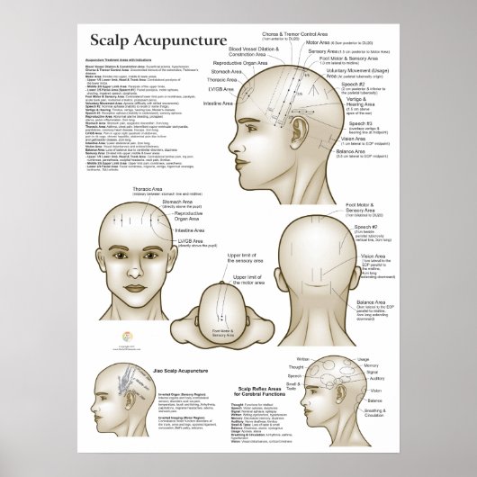 Schedel Hoofd Acupunctuurpunten Poster (Voorkant)