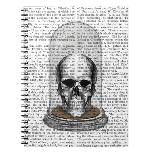 schedel in de troep 2 notitieboek (Voorkant)