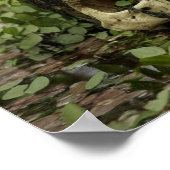 Schedel in het moeras Horror Print Poster Wall Art (Hoek)