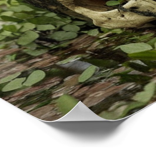 Schedel in het moeras Horror Print Poster Wall Art (Hoek)