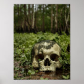 Schedel in het moeras Horror Print Poster Wall Art (Voorkant)
