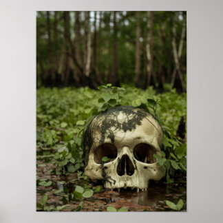 Schedel in het moeras Horror Print Poster Wall Art