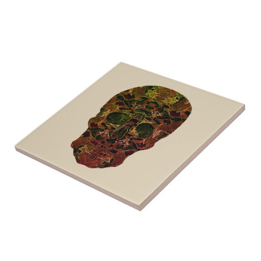 Schedel Kunst Keramische Foto Tegel Tegeltje (Zijkant)