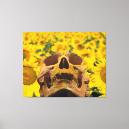 Schedel met Bloemen Canvas Afdruk