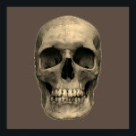 Schedel Pop Art Sepia Retro Poster<br><div class="desc">Fantasy Art Skull Skeleton - Blue & Paarse Tones Heavy Metal Punk Rock College Pop Art Afbeelding</div>