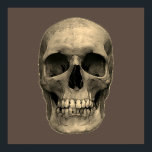 Schedel Pop Art Sepia Retro Poster<br><div class="desc">Fantasy Art Skull Skeleton - Blue & Paarse Tones Heavy Metal Punk Rock College Pop Art Afbeelding</div>