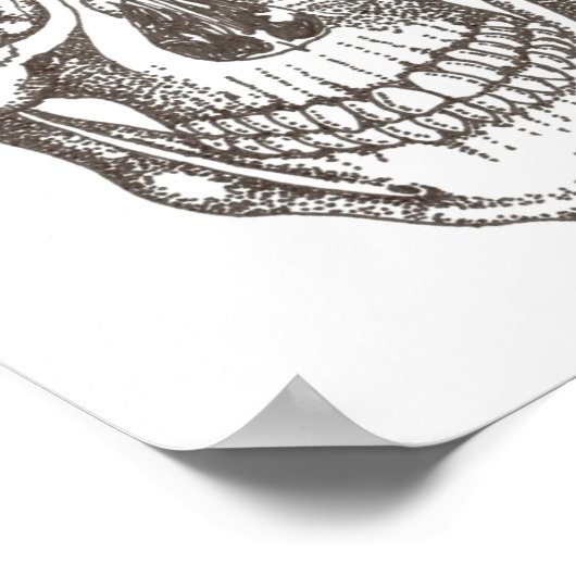 schedel poster (Hoek)