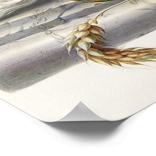  schedel poster (Hoek)