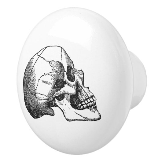 schedel profiel afbeelding zwart keramische knop (Rechts)