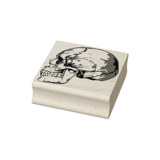 Schedel profiel illustratie art stempel (Stempel)