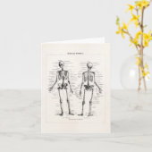 Schedel van het Bot van het Been van de Anatomie Kaart (Gele Bloem)