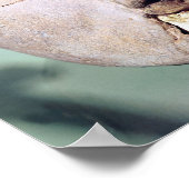 schedel, van Jericho, 7000-6000 BC Poster (Hoek)