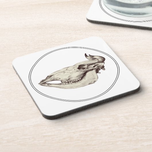  schedel van Koe Illustratie Bier Onderzetter (Linkerzijde)