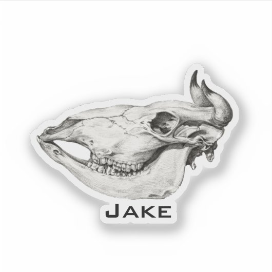  schedel van Koe Illustratie Naam Sticker (Voorkant)