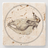  schedel van Koe Illustratie Stenen Onderzetter (Voorkant)