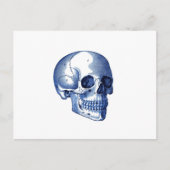  schedelanatomie briefkaart (Voorkant)