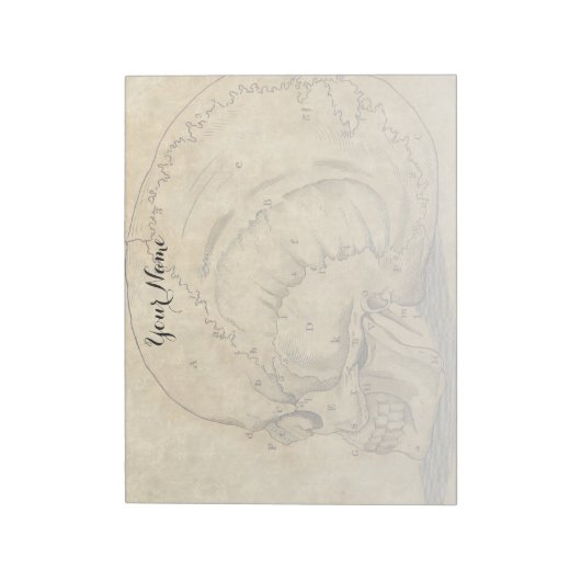  schedelprofiel met letters notitieblok (Linkerzijde)