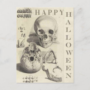 schedels Happy Halloween Feestdagenkaart